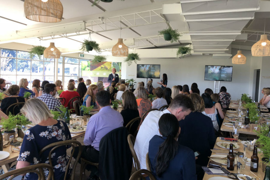Boomaroo Nurseries Sponsorship