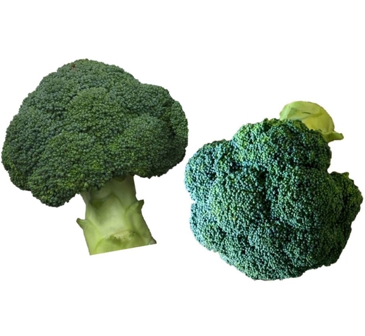 Broccoli STIRLING