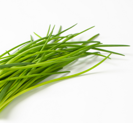 Chives – Medium