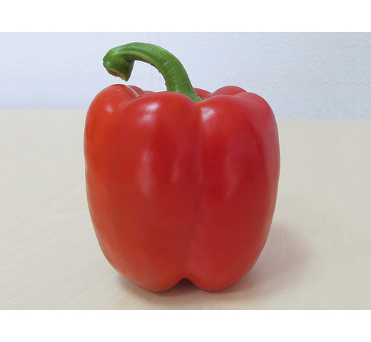 Capsicum (Blocky Red) CHEVI