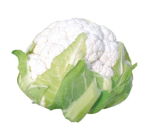 Cauliflower (White – Cool Season) NARUTO