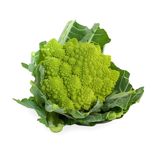 Puntoverde RZ (26-858)