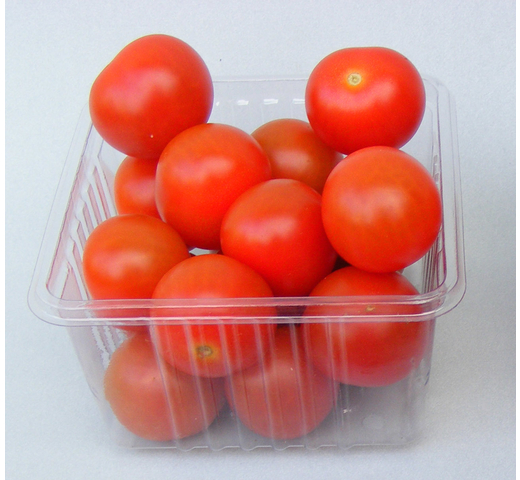 Tomato (Cherry – Indeterminate) – GENIO