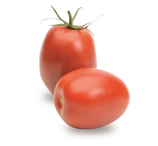 Tomato (Roma – Determinate) – KATYA