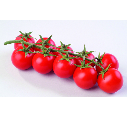 Tomato (Cherry – Indeterminate) – MARTYNI