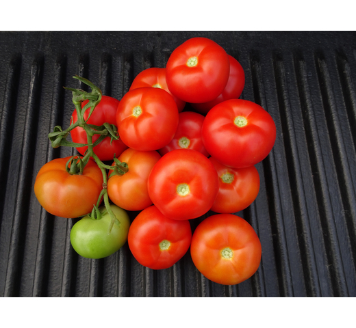 Tomato (Round Gourmet – Indeterminate) – ROYALTY