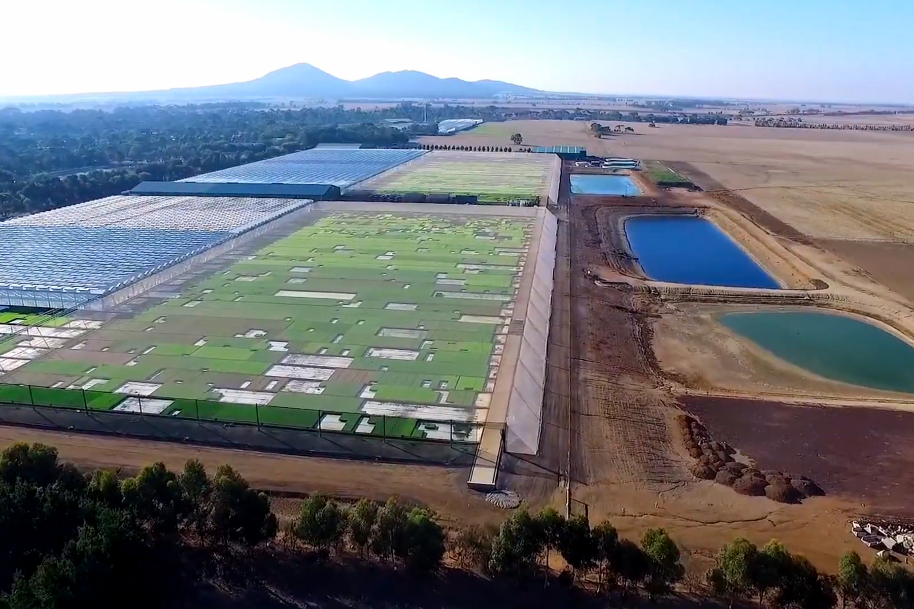 Aerial shot of specialised growing areas in Victoria