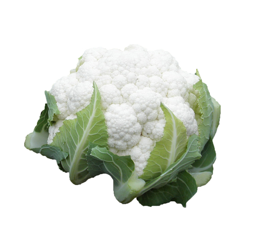 Cauliflower (White – Warm Season) LITTORAL