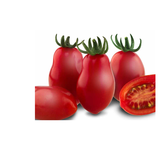 Tomato (Grape – Mini Roma – Indeterminate) – MOJITOS