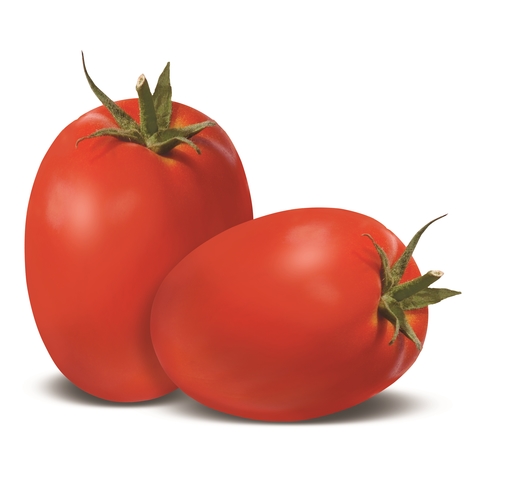 Tomato (Roma – Determinate) – SHEENA